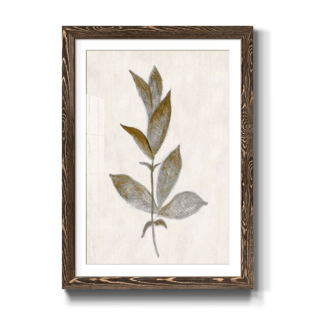 Walnut Framed Print Y43606