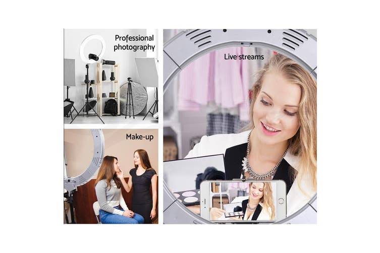 LED Ring Light with Stand W231846
