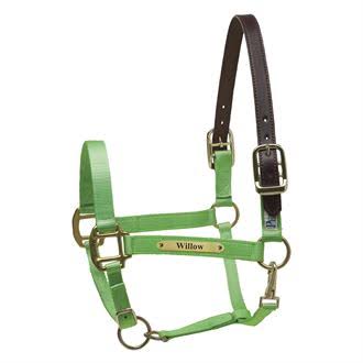Oversize Nylon Safety Halter with Nameplate A424966