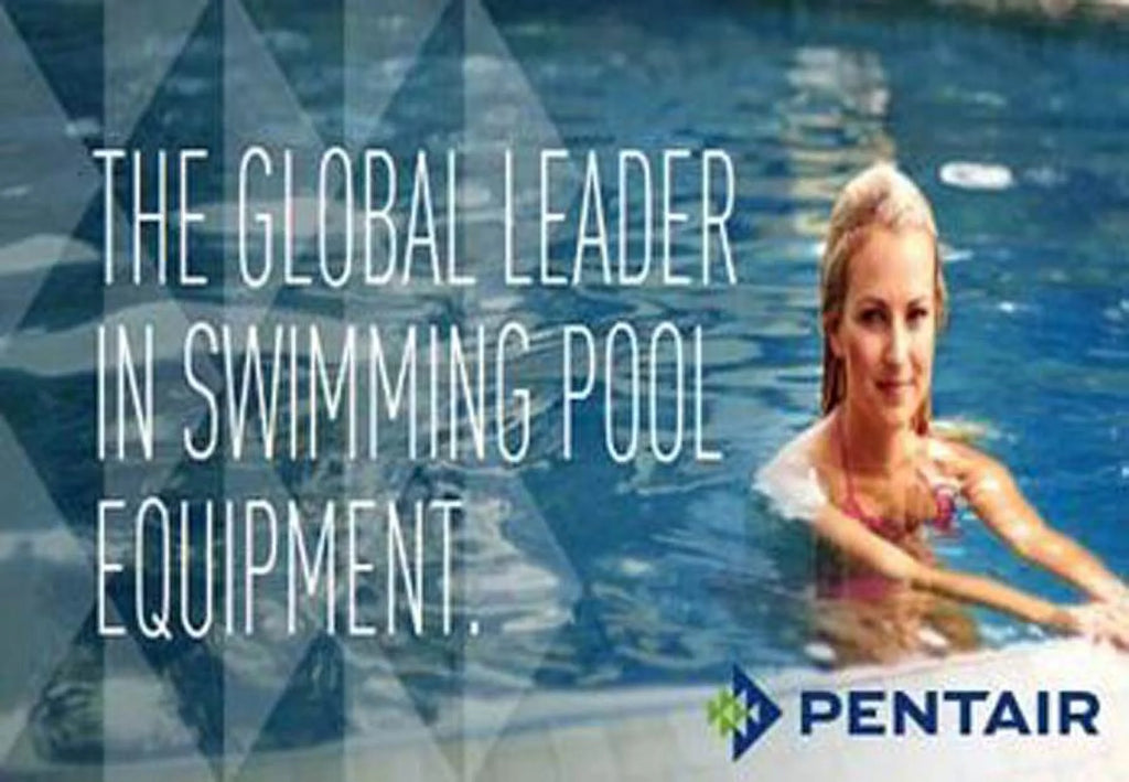 Pool Skimmer and Pump Basket Assembly Replacement B53762