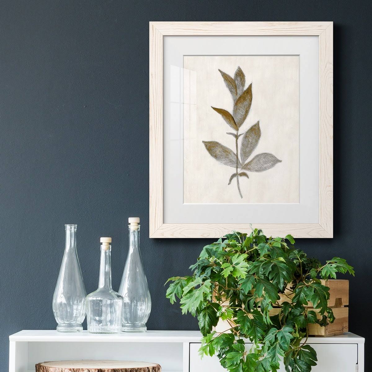 Walnut Framed Print Y43606