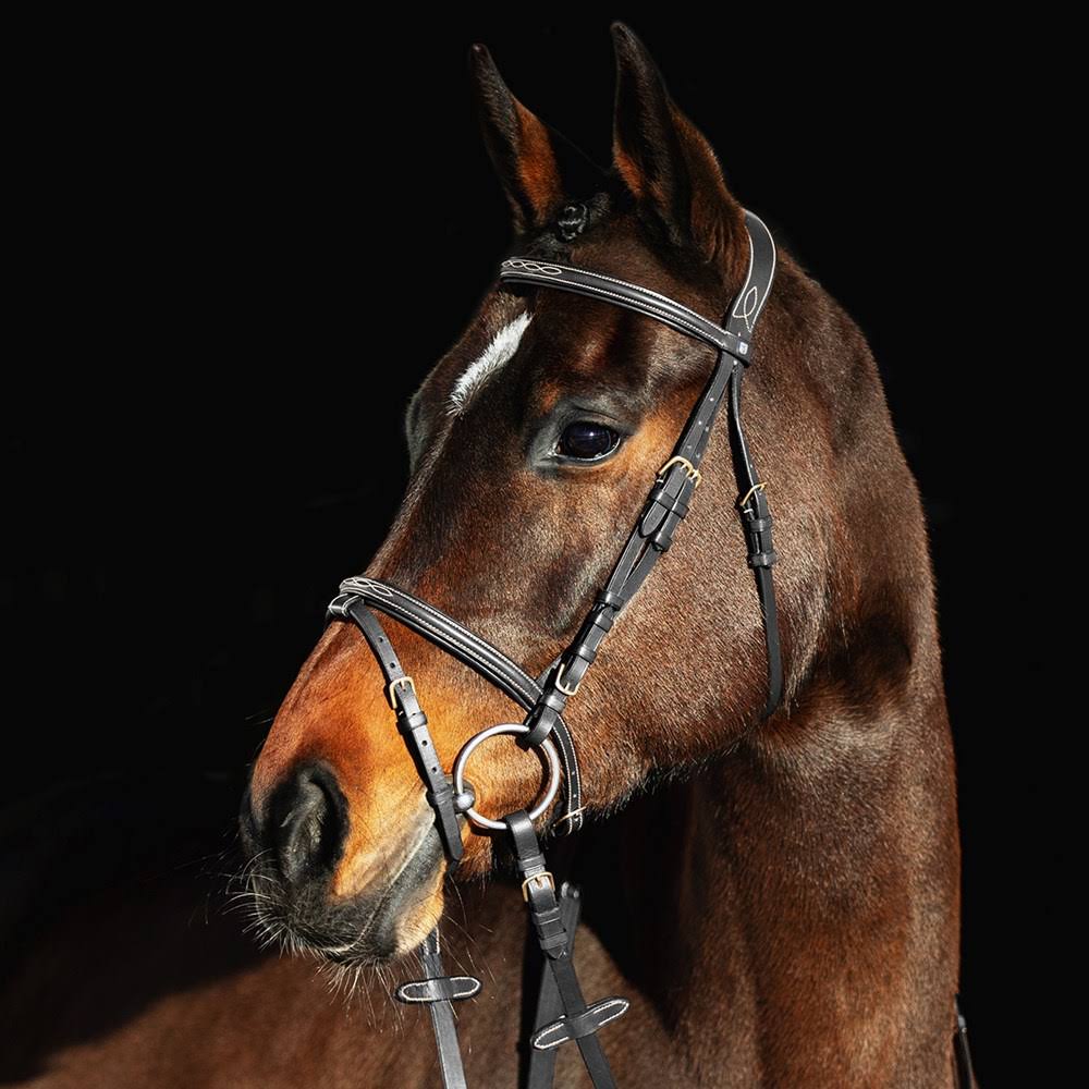 Padded Flash Bridle J80956