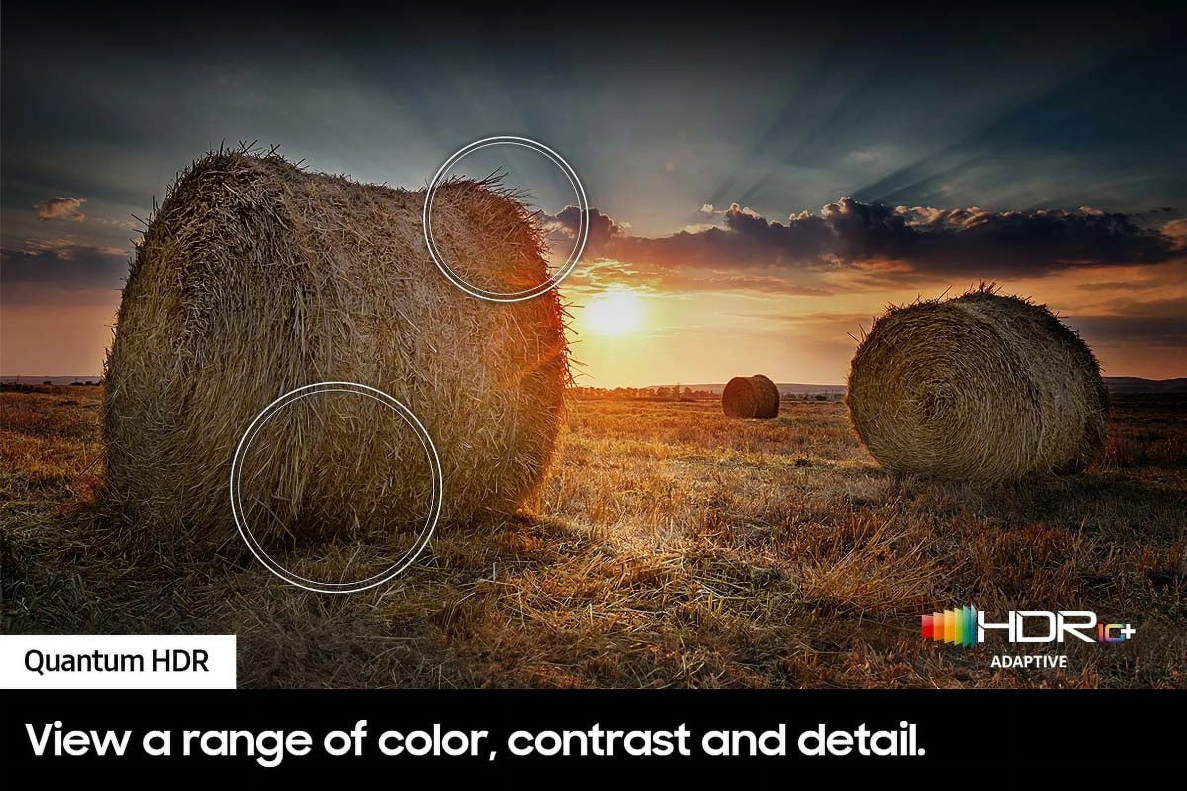 65" Class QLED 4K Smart TV V14013