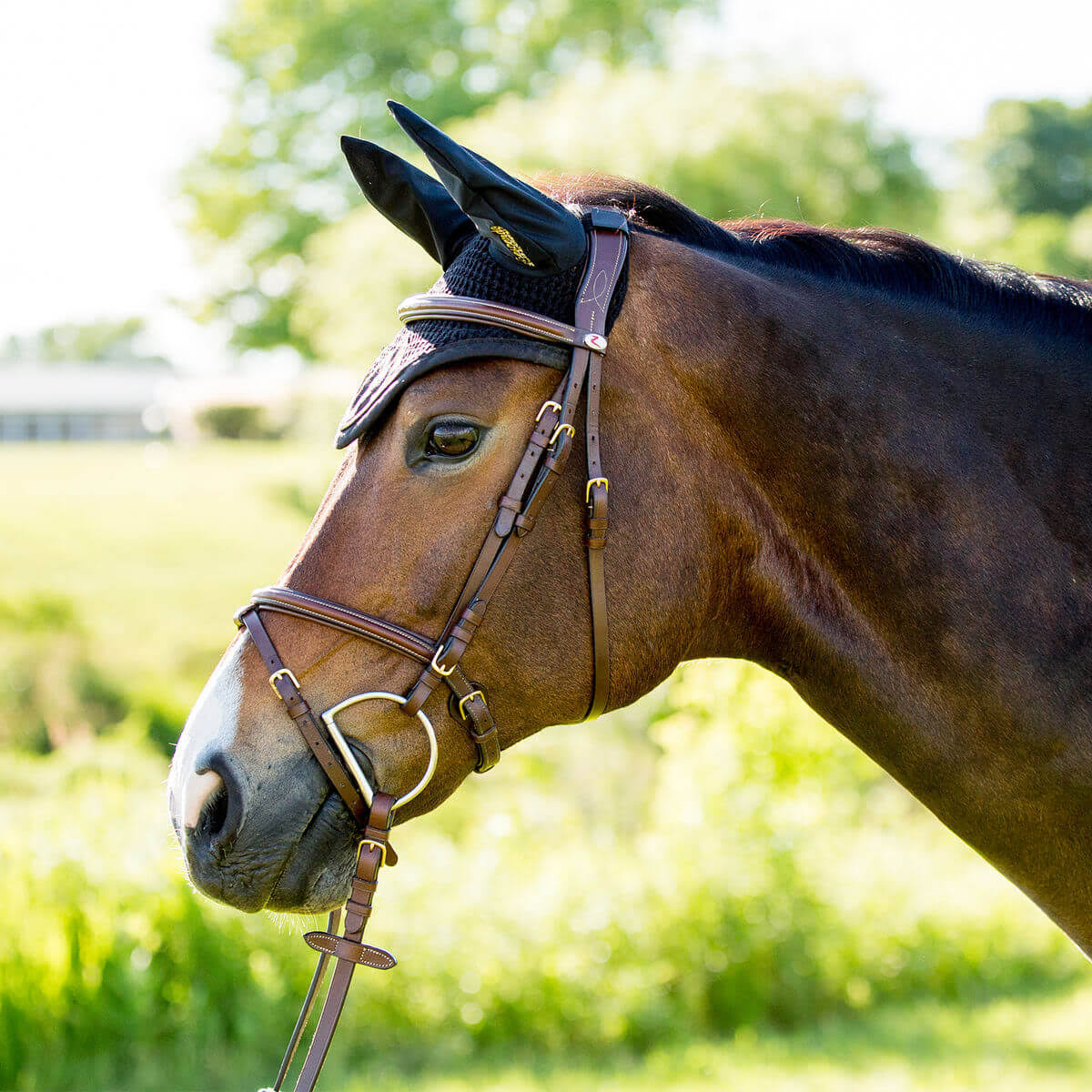 Padded Flash Bridle J80956