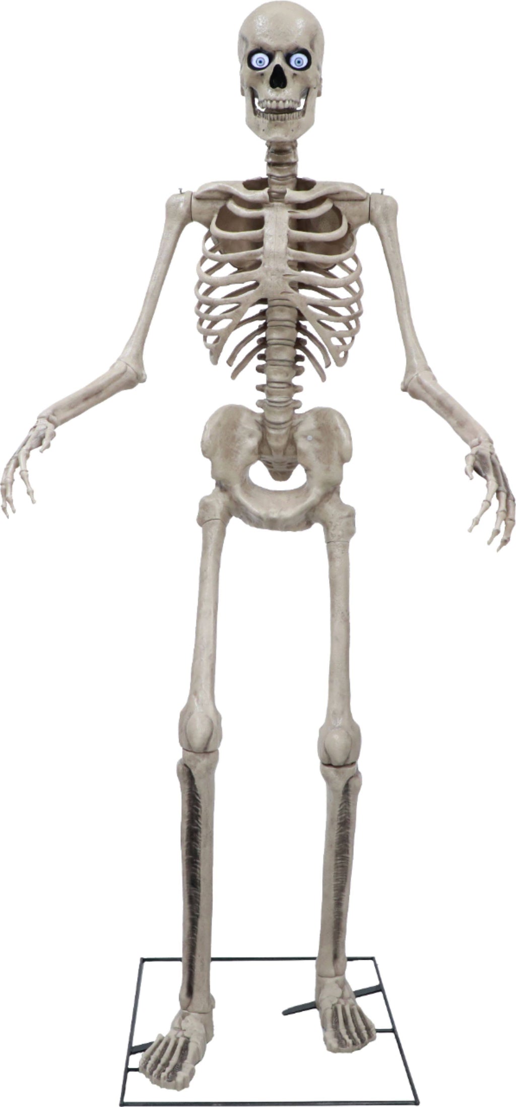 8ft Towering Skeleton with Posable Arms Moving Jaw A602