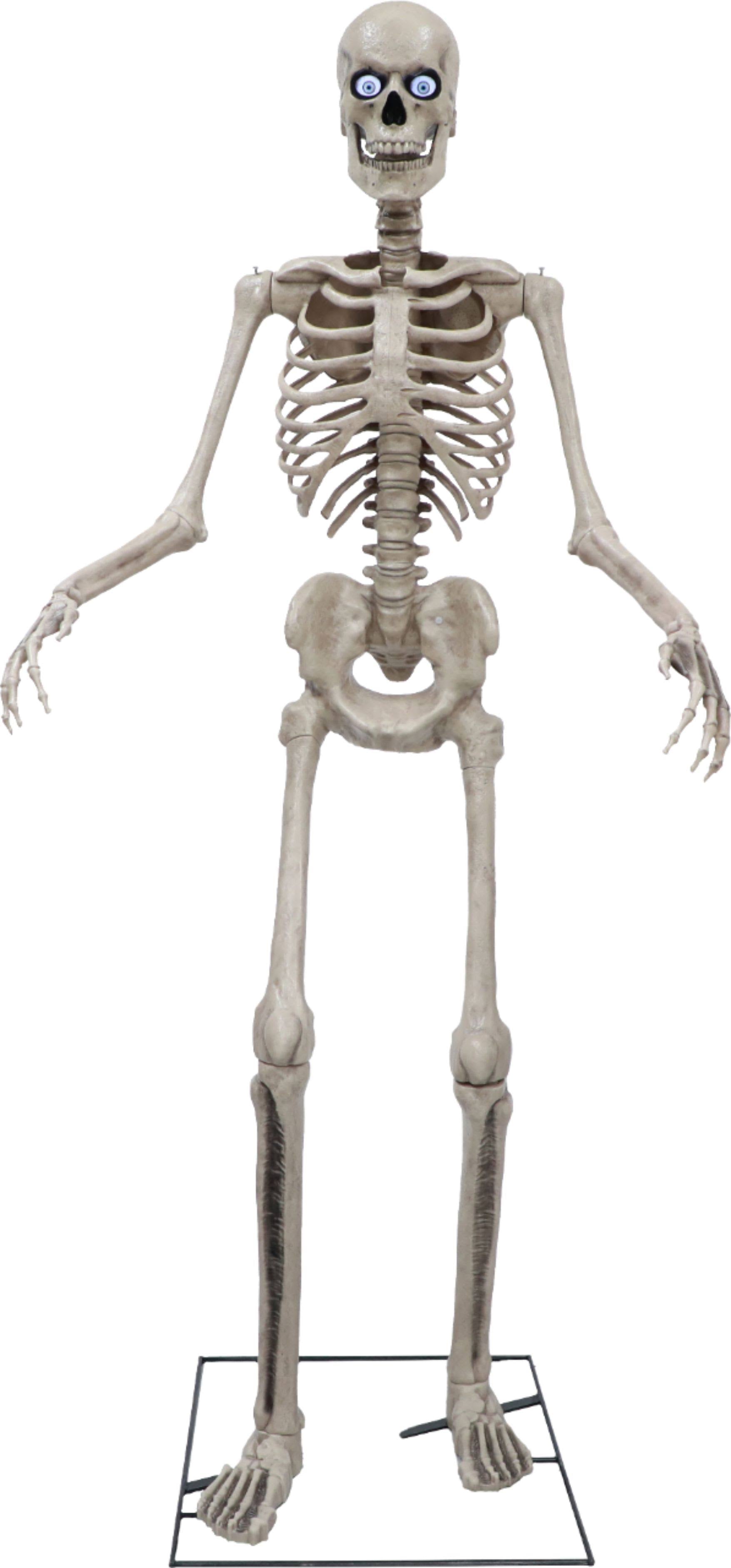 8ft Towering Skeleton with Posable Arms Moving Jaw A602