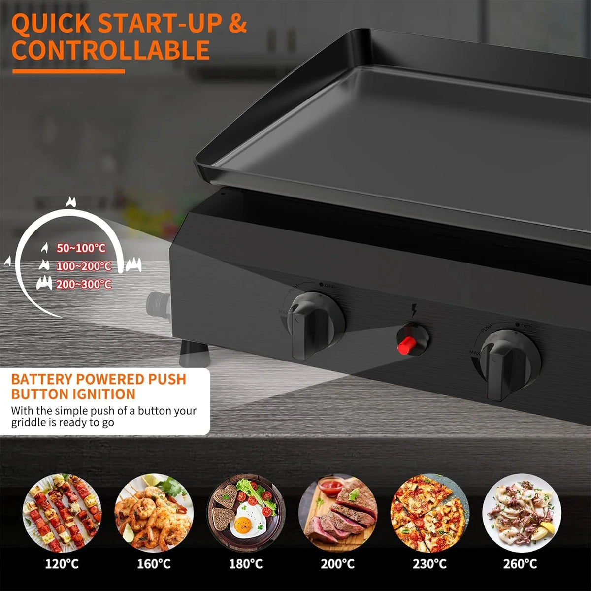 4-Burner Propane Gas BBQ Grill Cooking Station S574