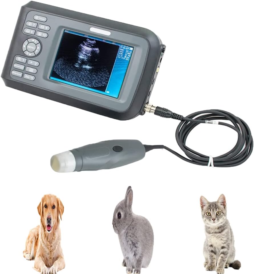 Handheld Portable Veterinary Ultrasound Machine with 3.5MHz Mechanical Sector Probe E366