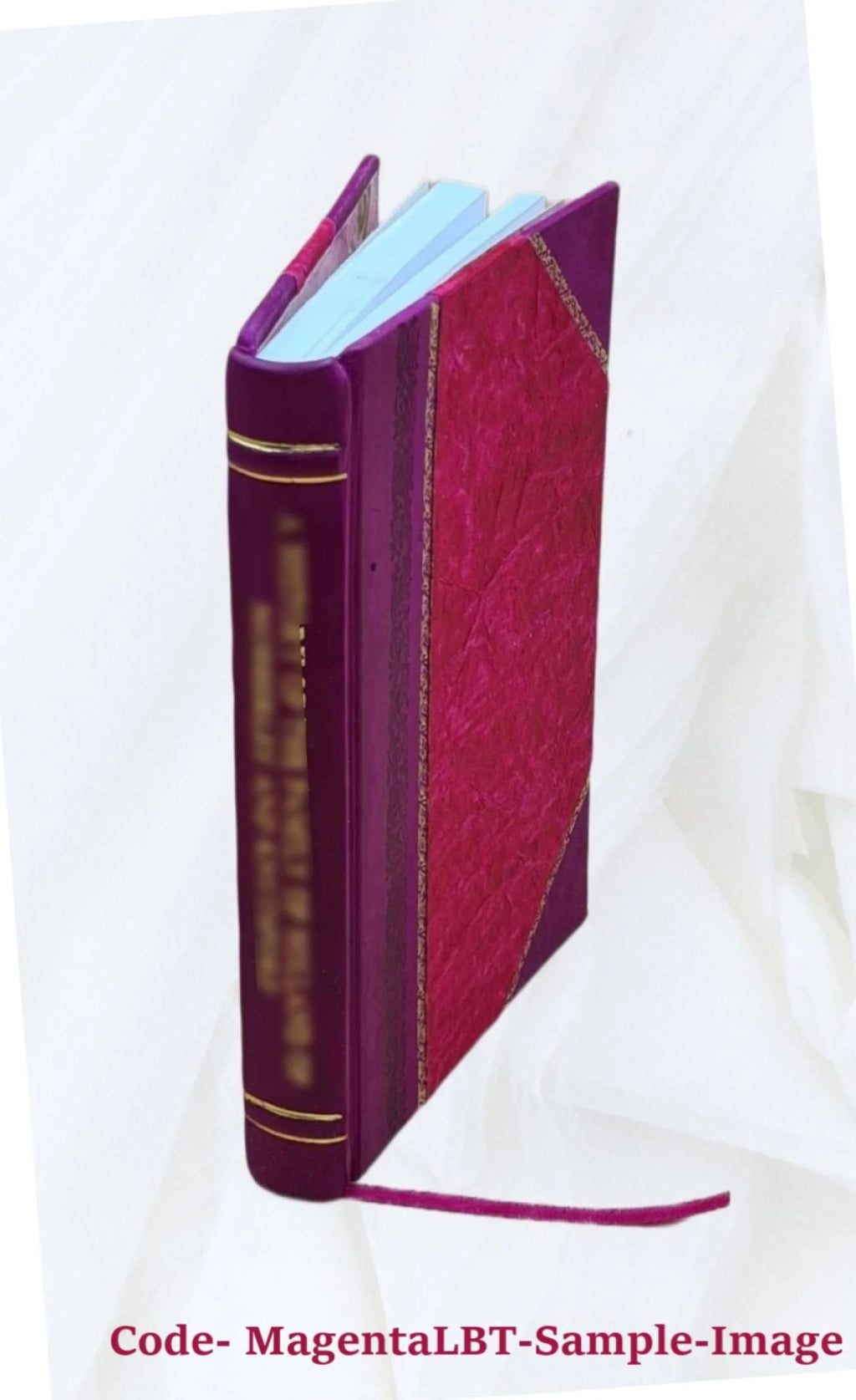 Leather Bound Toy Dogs Manual Y2678