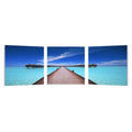 Mounted Photography Print Triptych U9253