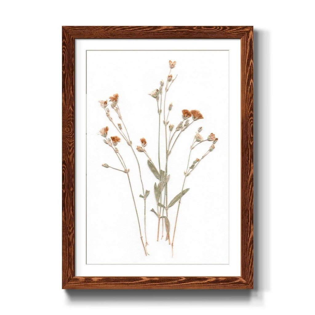 Framed Print U143796