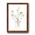 Framed Print U143796