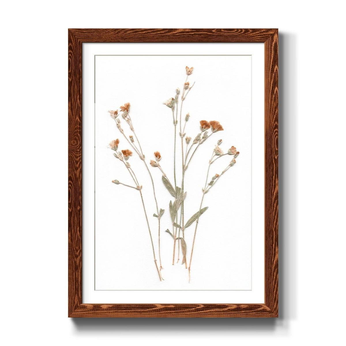 Framed Print U143796
