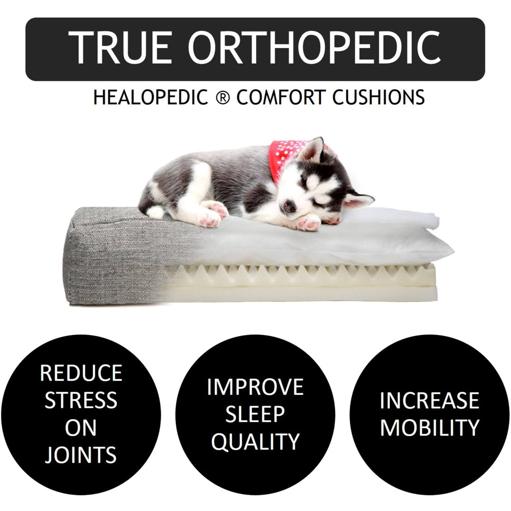 Orthopedic Dog Bed, Medium, Pink V879