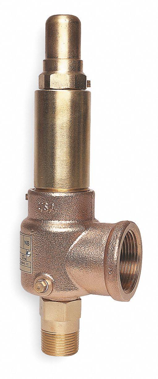 Pop Safety Valve, 1-1/4 x 2 In, 125 PSI N503