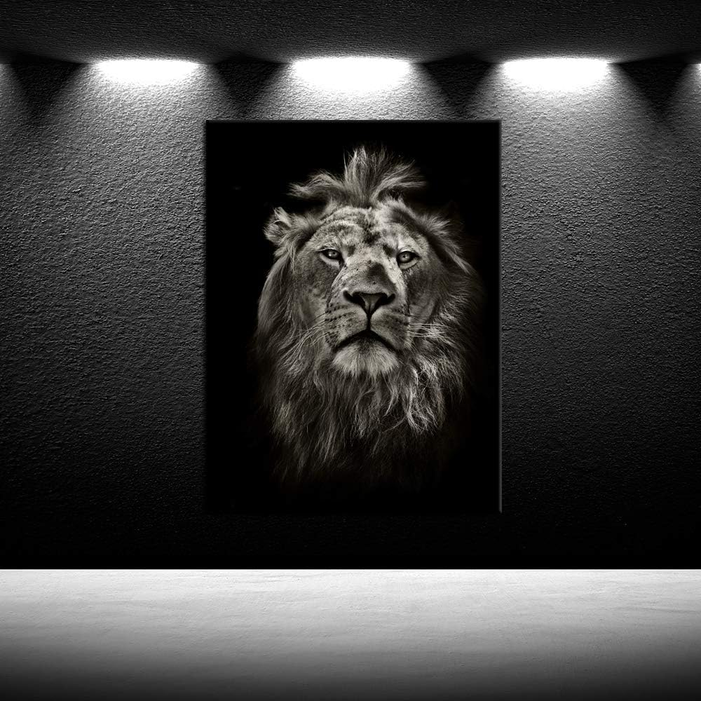 Black and White Lion Portrait Canvas Prints Stretched Wood Frame 24x32inch Z88714