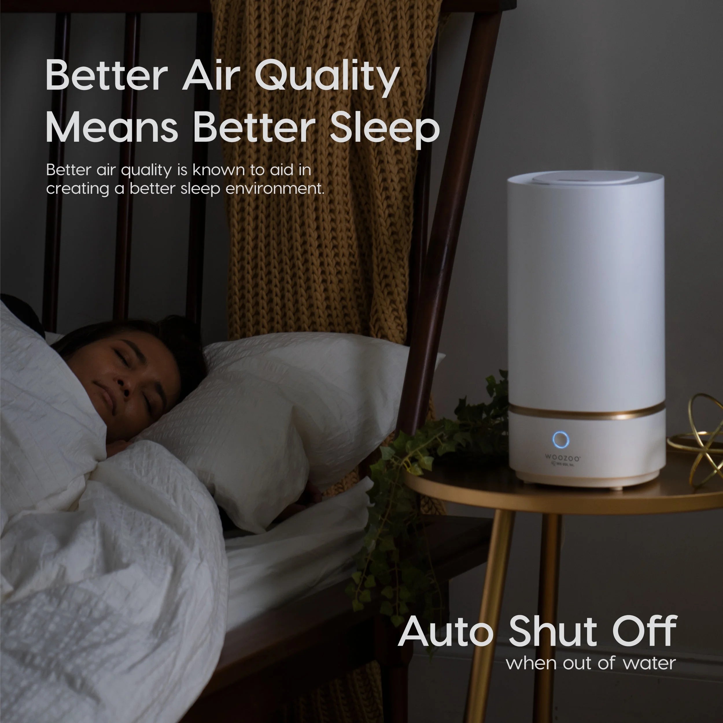Ultrasonic Cool Mist Humidifier 3L Water Tank P5251