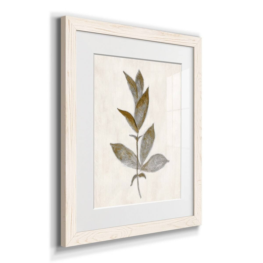 Walnut Framed Print Y43606