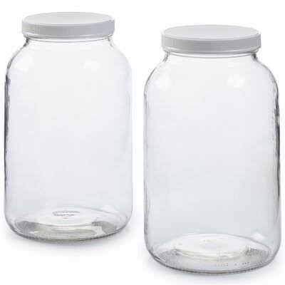 2 Pack Glass Jar with Plastic Airtight Lid X9533