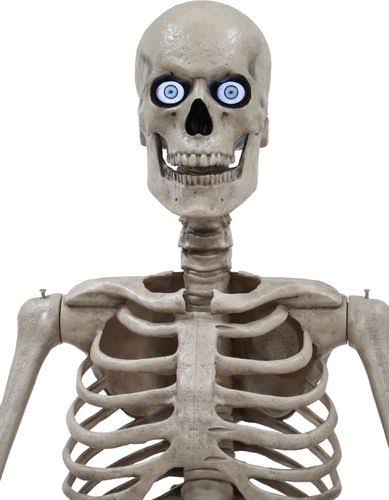 8ft Towering Skeleton with Posable Arms Moving Jaw A602