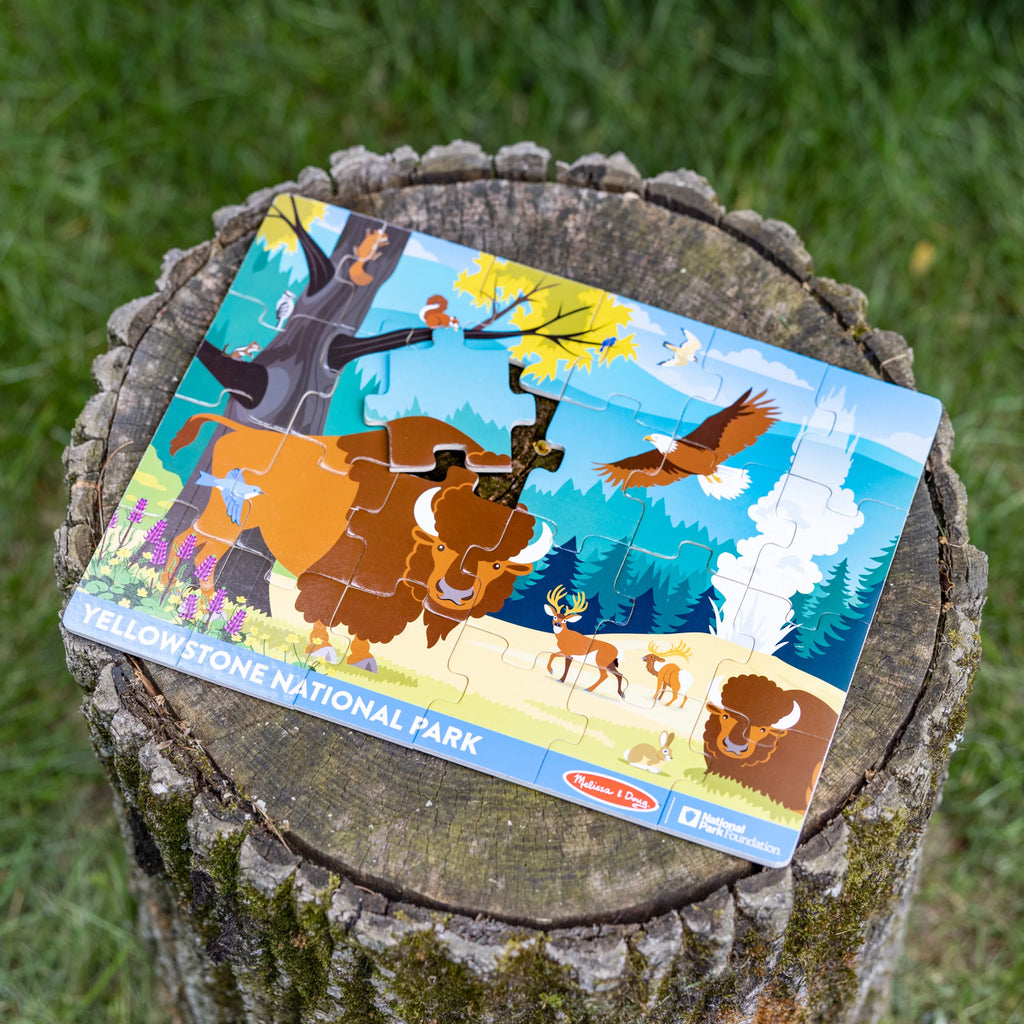 24 Pieces Wooden Jigsaw Puzzle with Animal and Plant ID Guide U7066