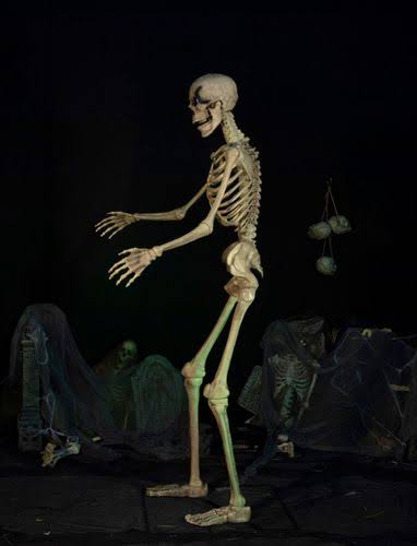 8ft Towering Skeleton with Posable Arms Moving Jaw A602