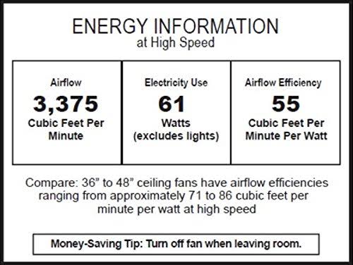 Ceiling Fan with Light S6643