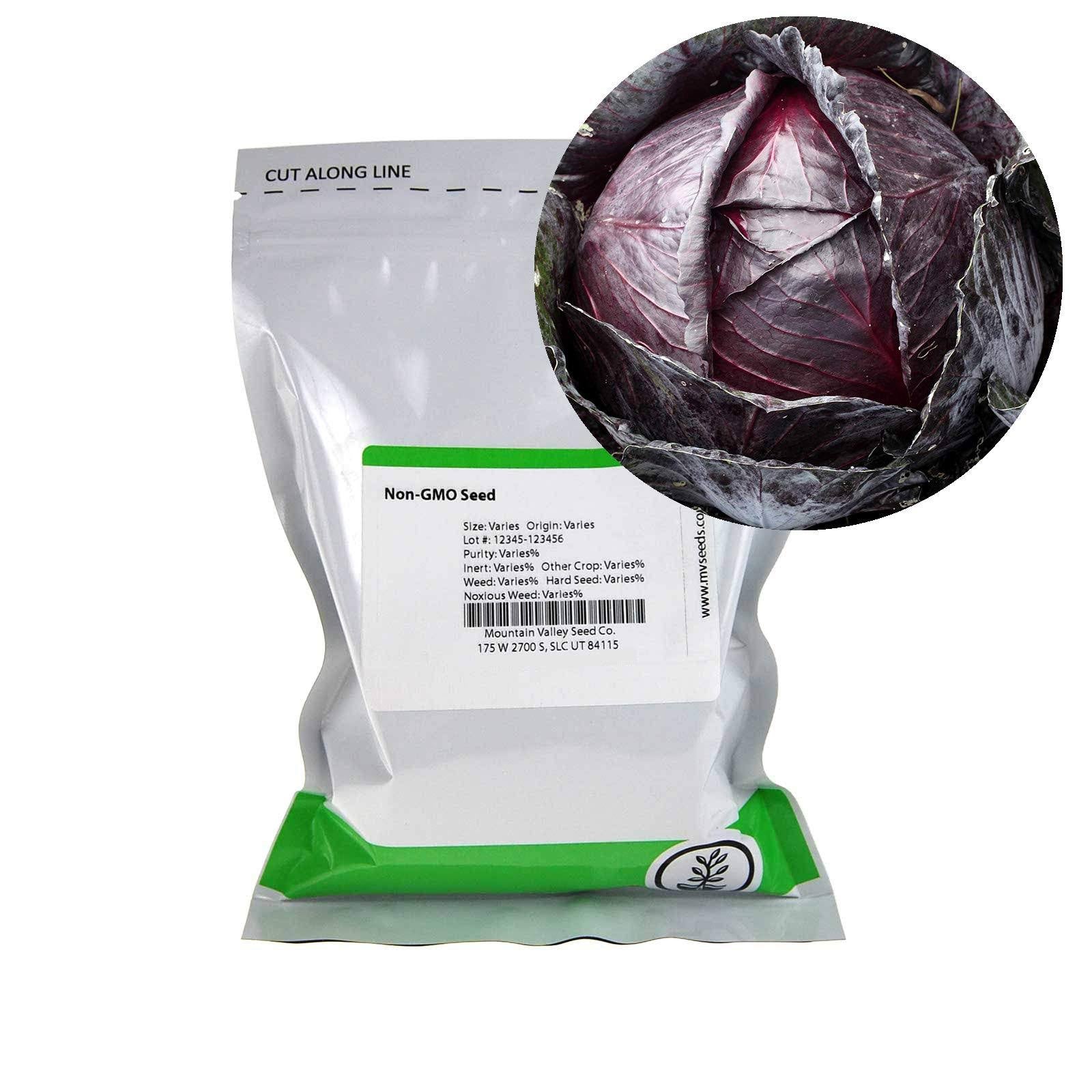5 lb Bulk Heirloom Non-GMO Cabbage Seeds O63895