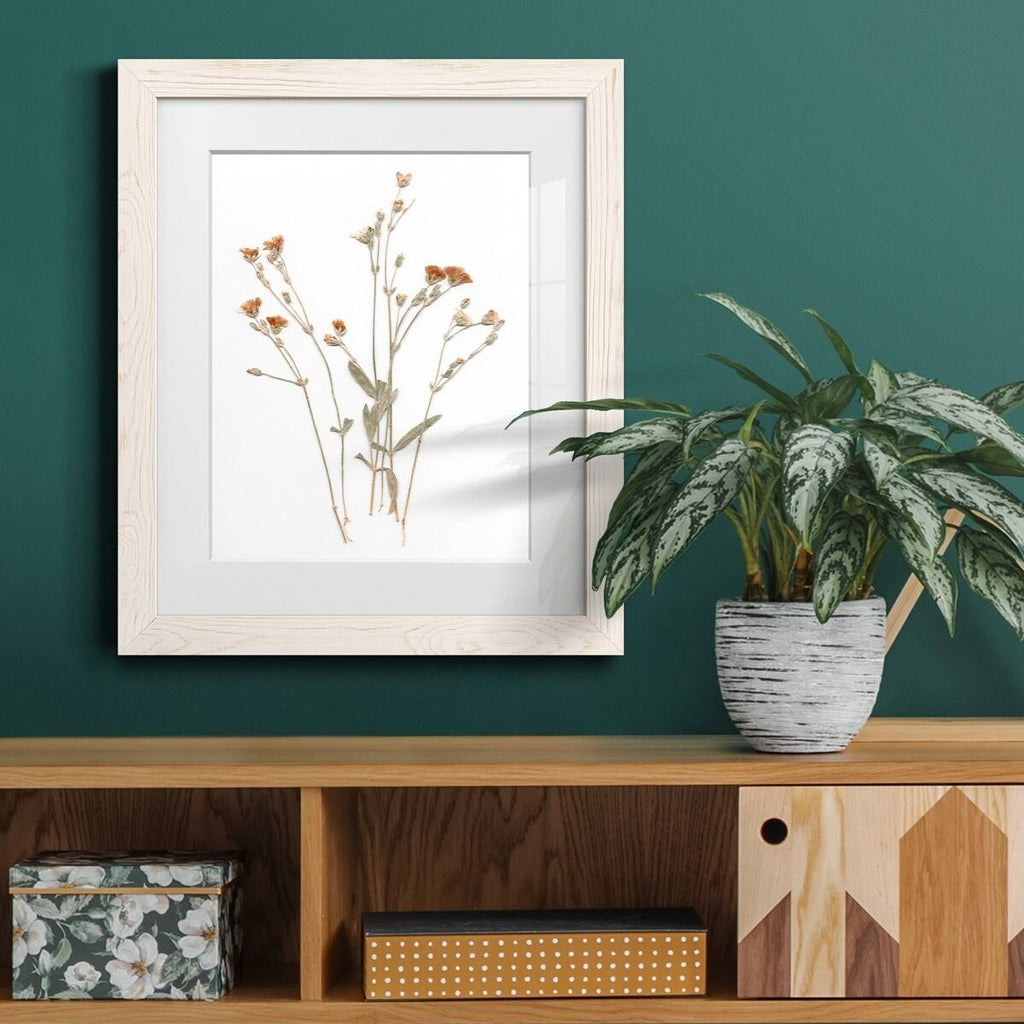 Framed Print U143796