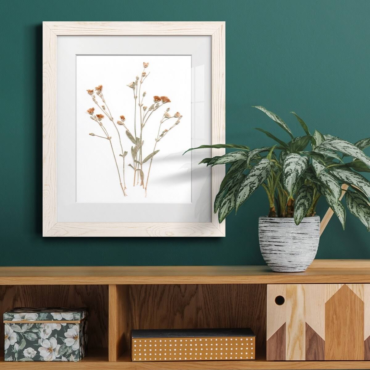 Framed Print U143796