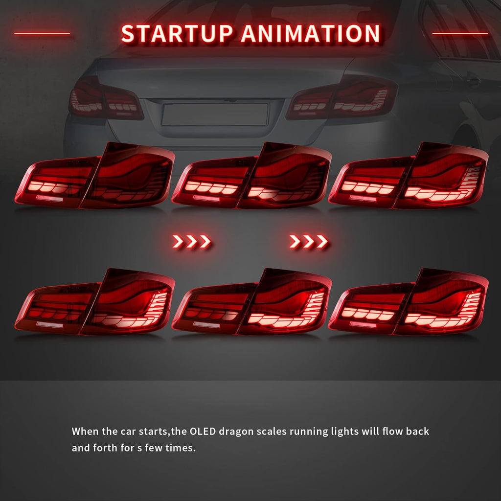 OLED Tail Lights with Sequential Turn Signal K130493