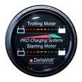 Dual Battery Monitor with 15' Cable N1446