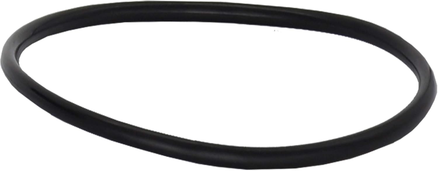 Fuel Pump Module Assembly Pack of 2 P7184