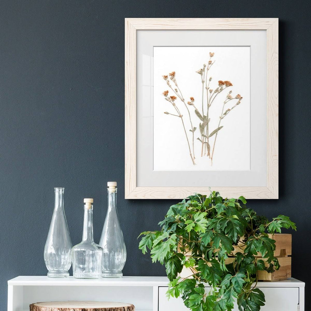Framed Print U143796