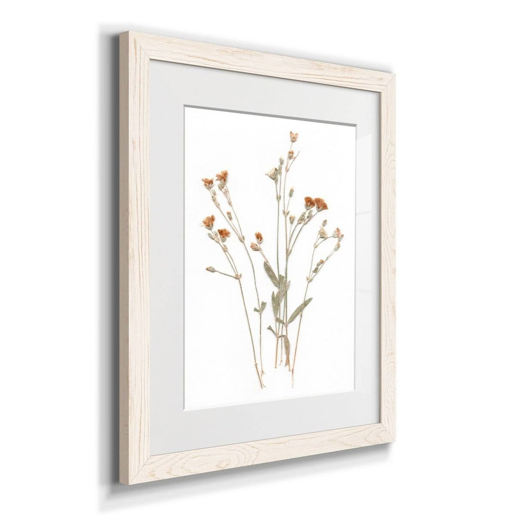 Framed Print U143796
