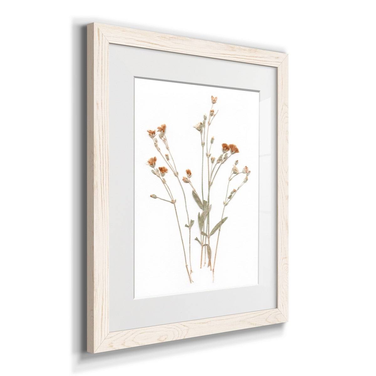 Framed Print U143796