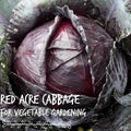 5 lb Bulk Heirloom Non-GMO Cabbage Seeds O63895
