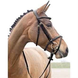 Padded Flash Bridle J80956