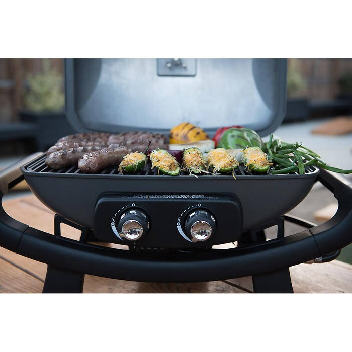 2 Burner Cast Aluminum Table Top Gas Grill G17869