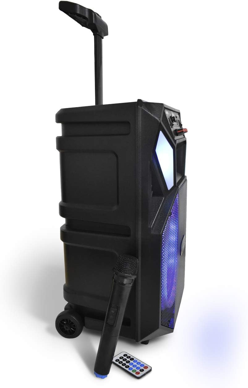 Bluetooth Speaker with 12” Woofer & 1.5 Tweeter, Portable PA Speaker with LED Lights, Wireless Mic, USB AUX TF Card FM & MIC R6227