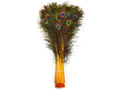 30-35x22 Golden Yellow Dyed Peacock Tail Feathers G812565