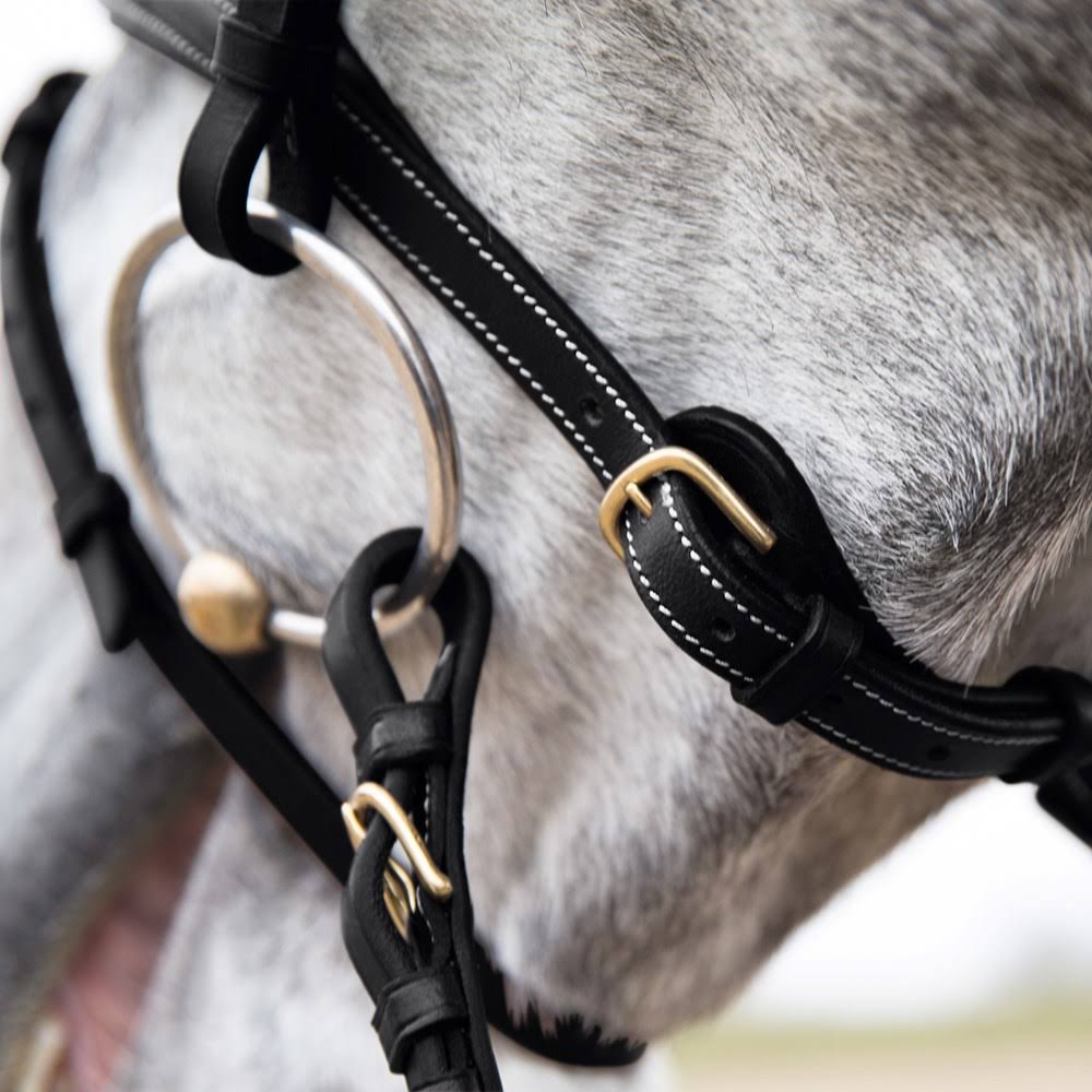 Padded Flash Bridle J80956