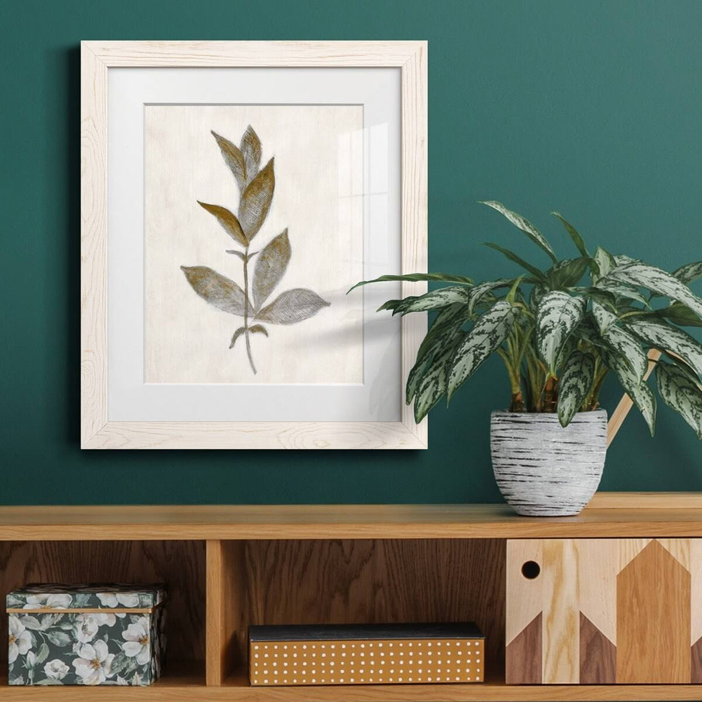 Walnut Framed Print Y43606