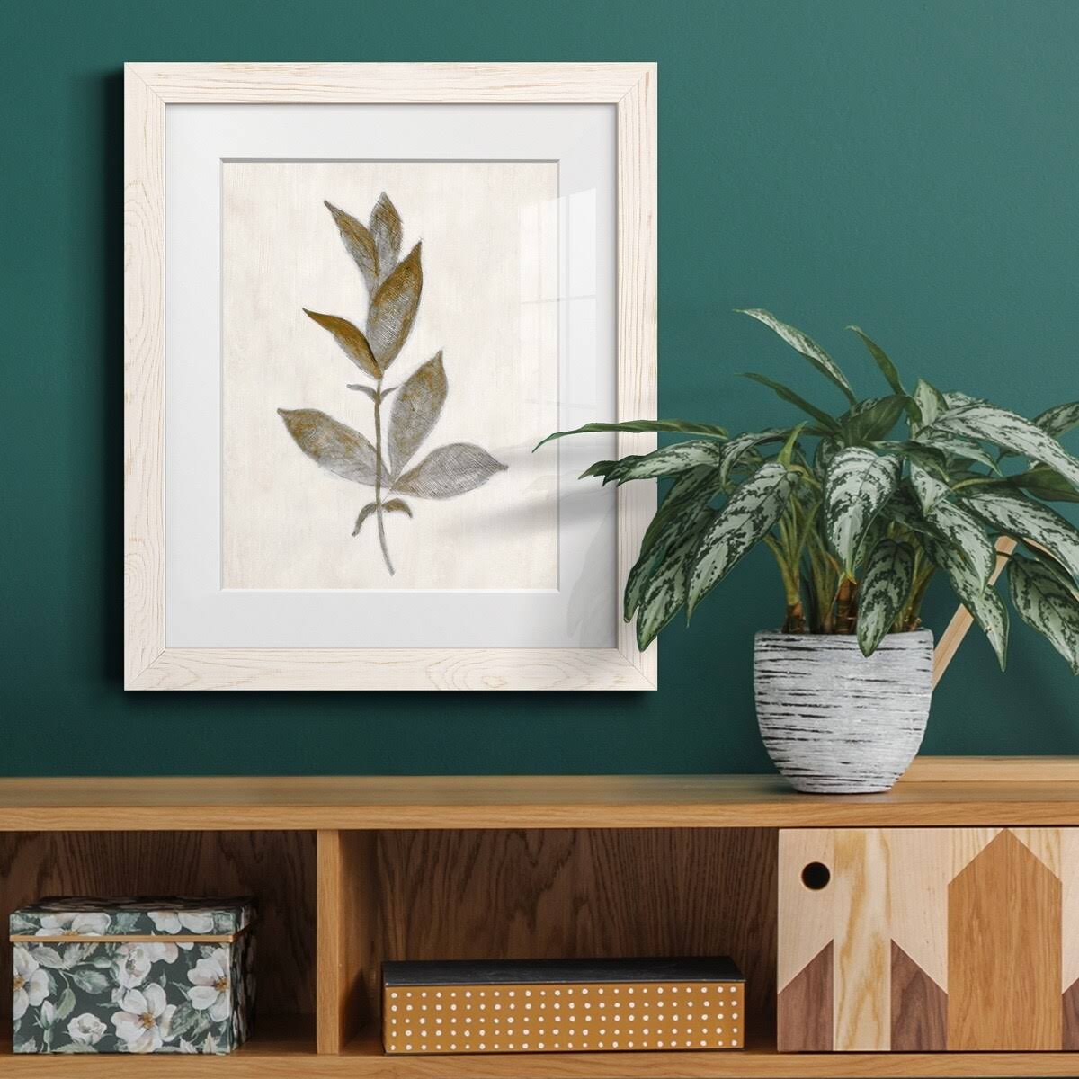 Walnut Framed Print Y43606