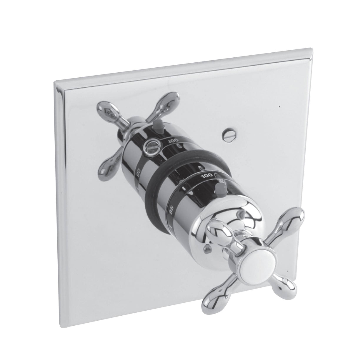 Thermostatic Trim Plate with Handle Polished Brass L68819