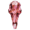 Pink Camo Kit T2687