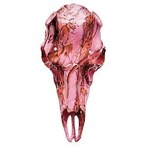 Pink Camo Kit T2687