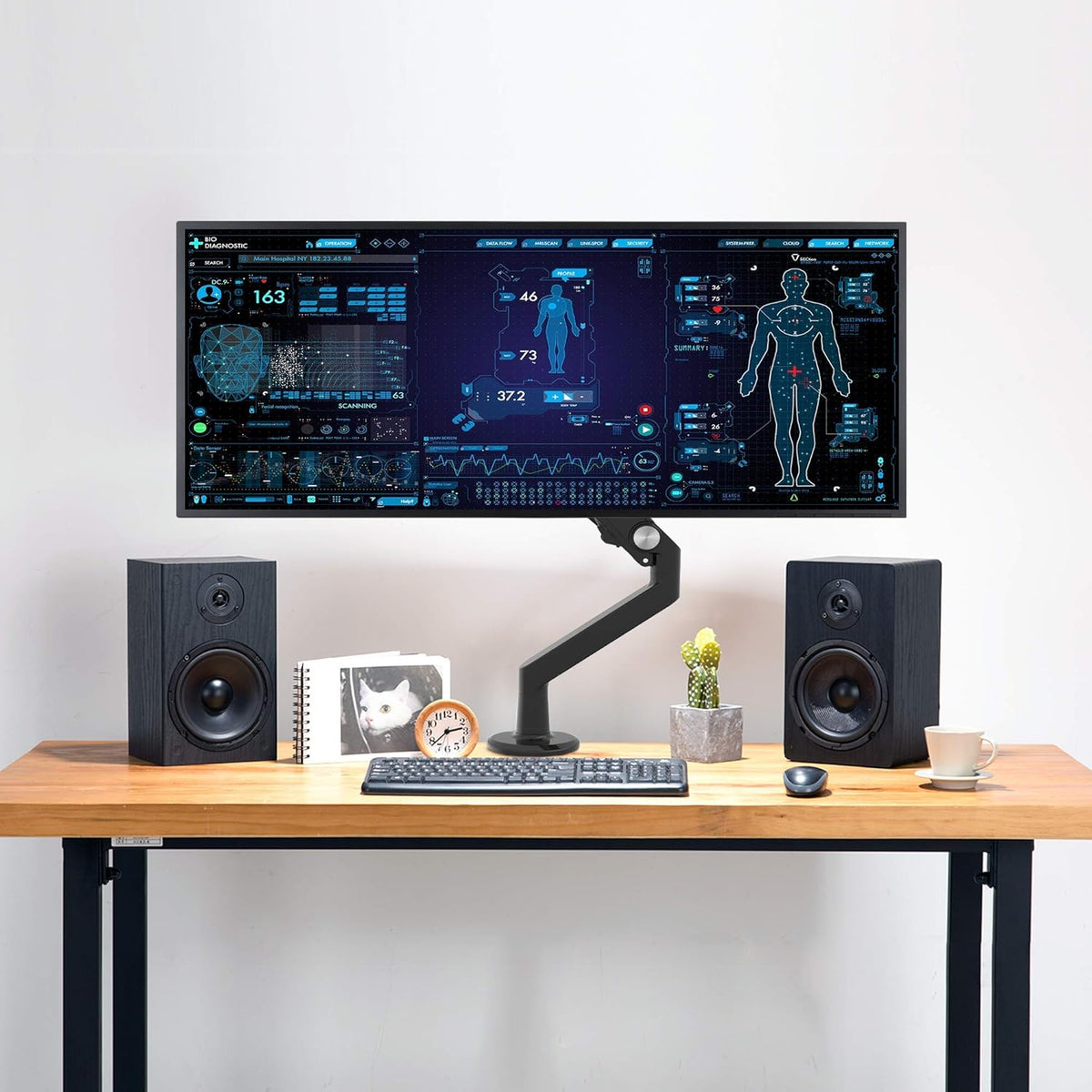 Single Monitor Arm Desk Mount D560