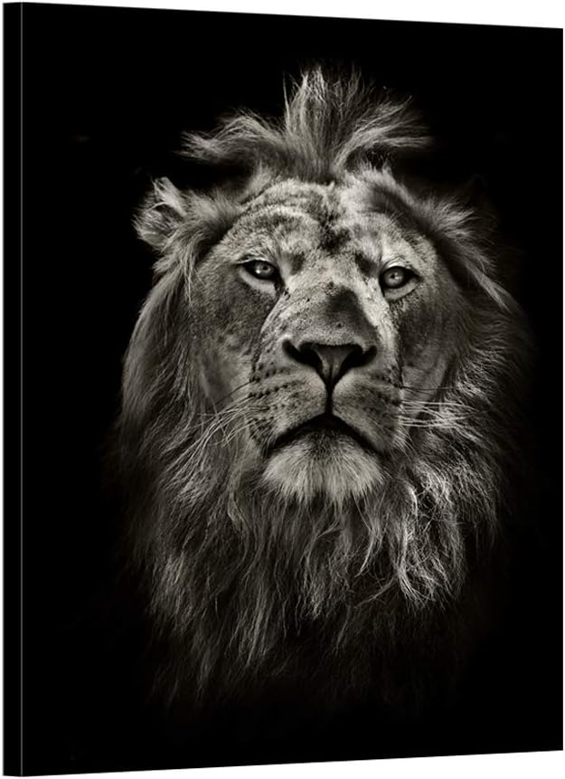 Black and White Lion Portrait Canvas Prints Stretched Wood Frame 24x32inch Z88714