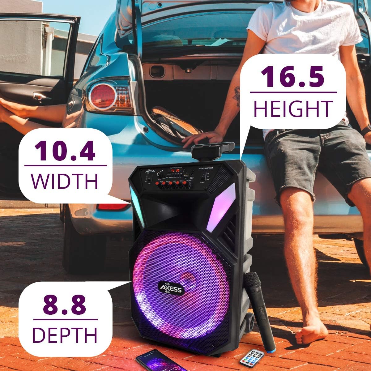 Bluetooth Speaker with 12” Woofer & 1.5 Tweeter, Portable PA Speaker with LED Lights, Wireless Mic, USB AUX TF Card FM & MIC R6227